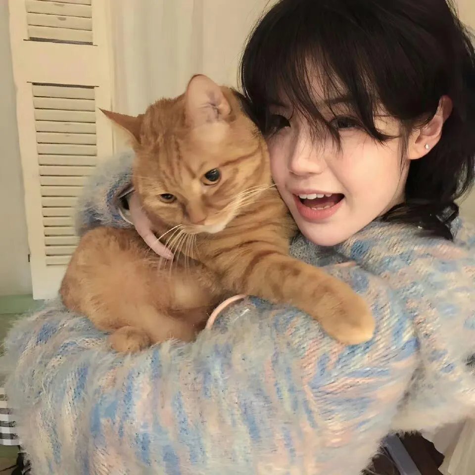 致命24小时粤语